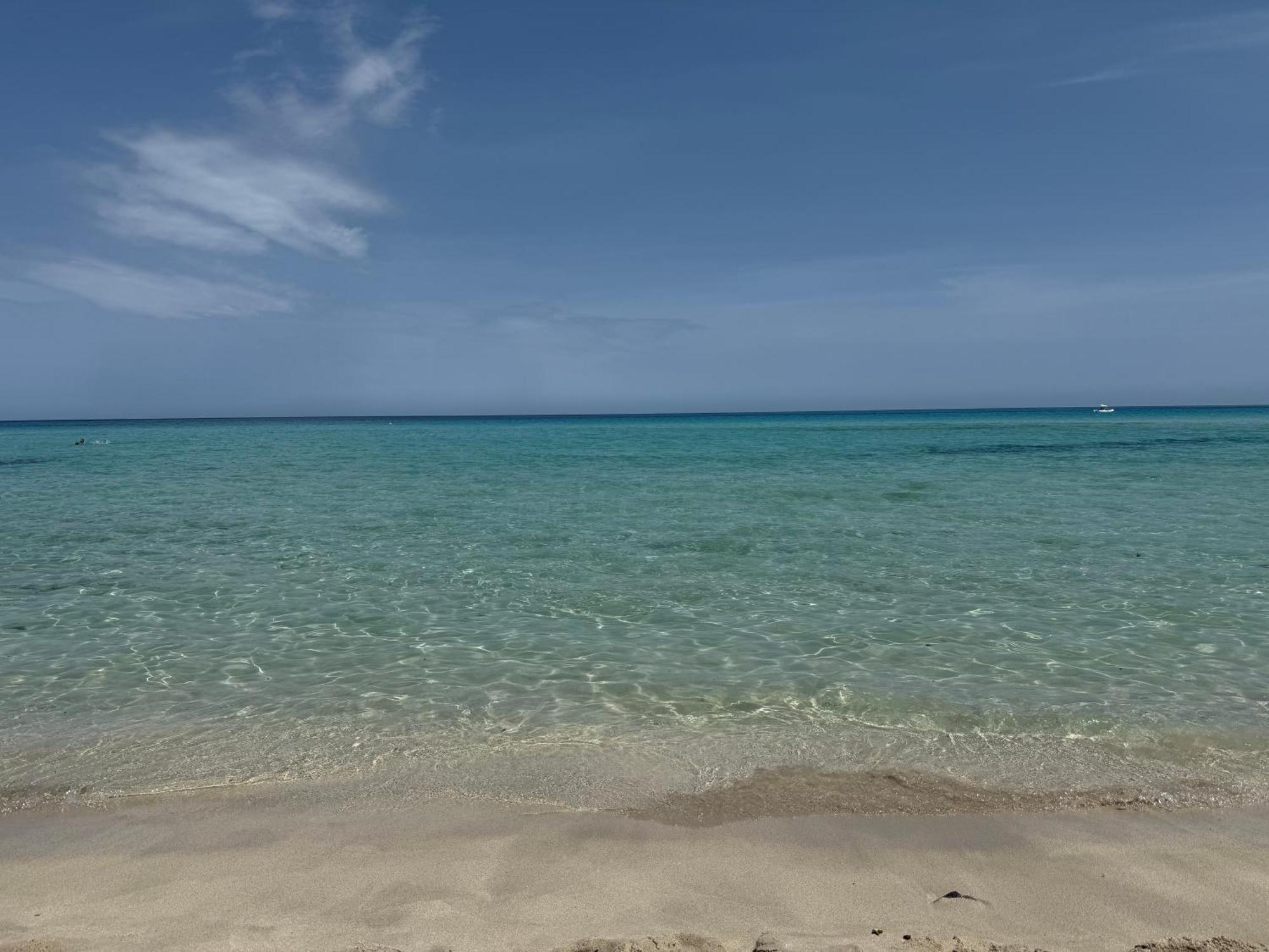 La Bella Vista